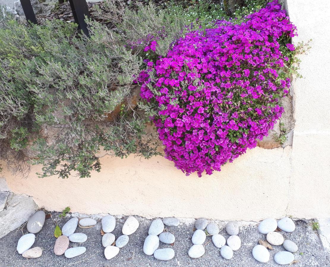 Lou Mas Dau Paigran Bed & Breakfast Saint-Blaise  Ngoại thất bức ảnh