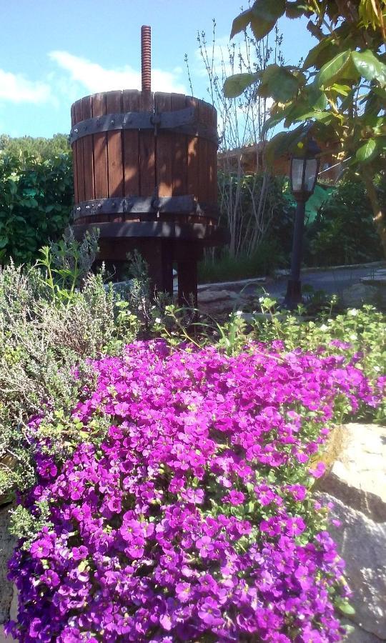 Lou Mas Dau Paigran Bed & Breakfast Saint-Blaise  Ngoại thất bức ảnh